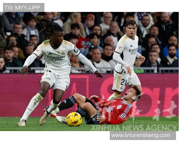 塞尔塔球员在本赛季表现分析与评价探讨