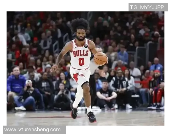 公牛队签下新秀球员，备战下赛季